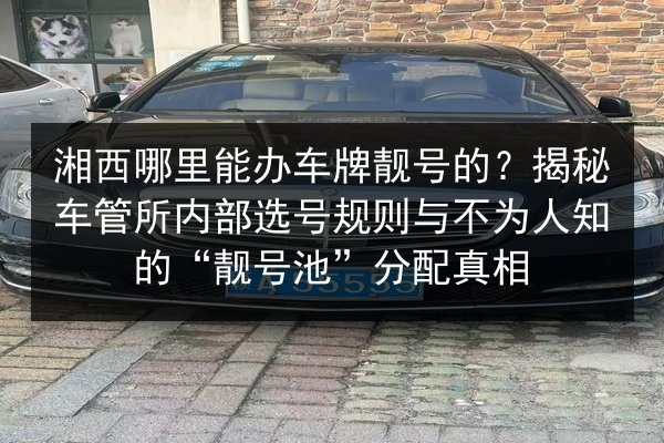 湘西哪里能办车牌靓号的?揭秘车管所内部选号规则与不为人知的“靓号池”分配真相 第3张 湘西哪里能办车牌靓号的?揭秘车管所内部选号规则与不为人知的“靓号池”分配真相 第3张