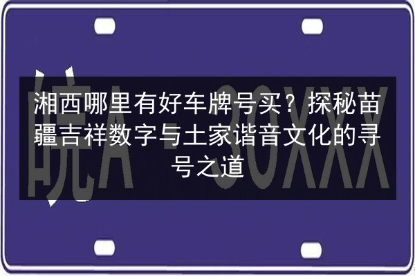 湘西哪里有好车牌号买?探秘苗疆吉祥数字与土家谐音文化的寻号之道 第2张 湘西哪里有好车牌号买?探秘苗疆吉祥数字与土家谐音文化的寻号之道 第2张