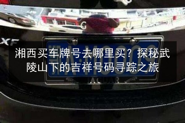 湘西买车牌号去哪里买?探秘武陵山下的吉祥号码寻踪之旅 第2张 湘西买车牌号去哪里买?探秘武陵山下的吉祥号码寻踪之旅 第2张