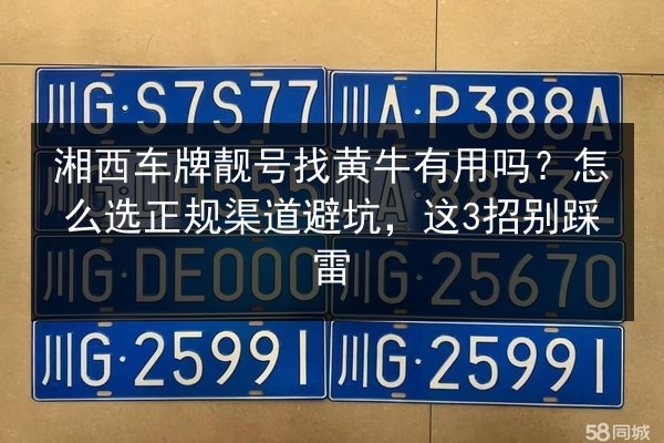 湘西车牌靓号找黄牛有用吗？怎么选正规渠道避坑，这3招别踩雷 第1张