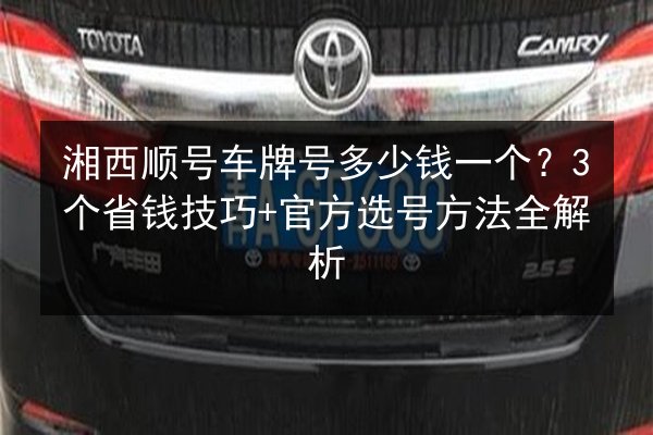 湘西顺号车牌号多少钱一个？3个省钱技巧+官方选号方法全解析