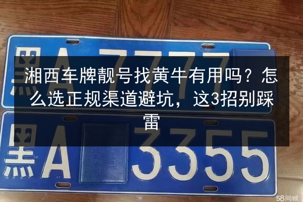 湘西车牌靓号找黄牛有用吗？怎么选正规渠道避坑，这3招别踩雷 第2张