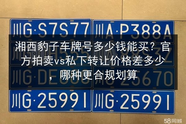 湘西豹子车牌号多少钱能买?官方拍卖vs私下转让价格差多少,哪种更合规划算 第2张 湘西豹子车牌号多少钱能买?官方拍卖vs私下转让价格差多少,哪种更合规划算 第2张
