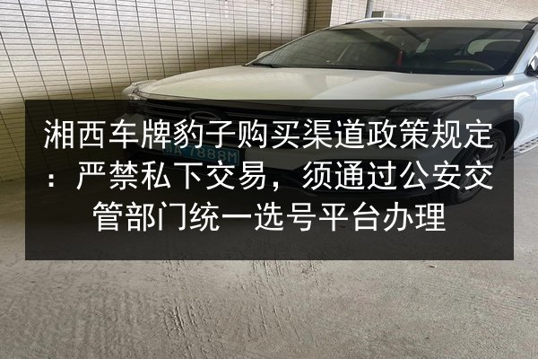 湘西车牌豹子购买渠道政策规定：严禁私下交易，须通过公安交管部门统一选号平台办理 第2张