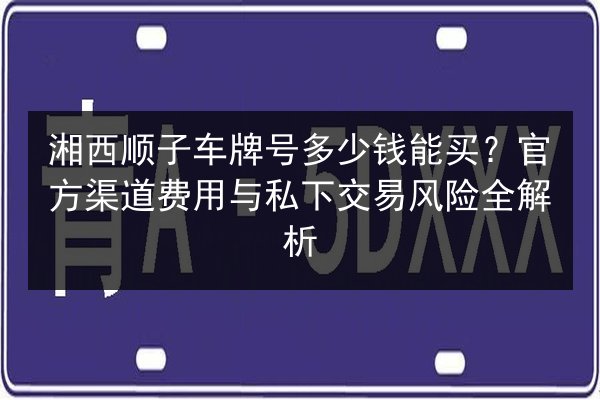 湘西顺子车牌号多少钱能买?官方渠道费用与私下交易风险全解析 第3张 湘西顺子车牌号多少钱能买?官方渠道费用与私下交易风险全解析 第3张