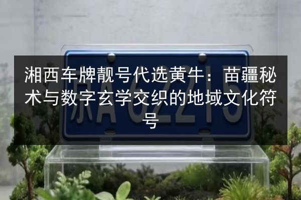 湘西车牌靓号代选黄牛：苗疆秘术与数字玄学交织的地域文化符号 第3张