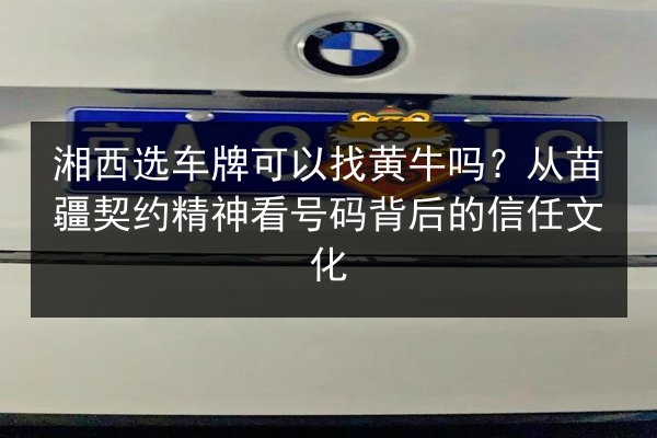 湘西选车牌可以找黄牛吗？从苗疆契约精神看号码背后的信任文化 第3张