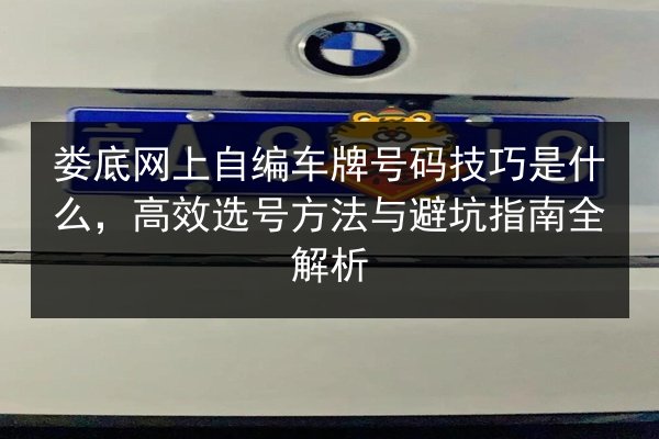 娄底网上自编车牌号码技巧是什么,高效选号方法与避坑指南全解析 第3张 娄底网上自编车牌号码技巧是什么,高效选号方法与避坑指南全解析 第3张