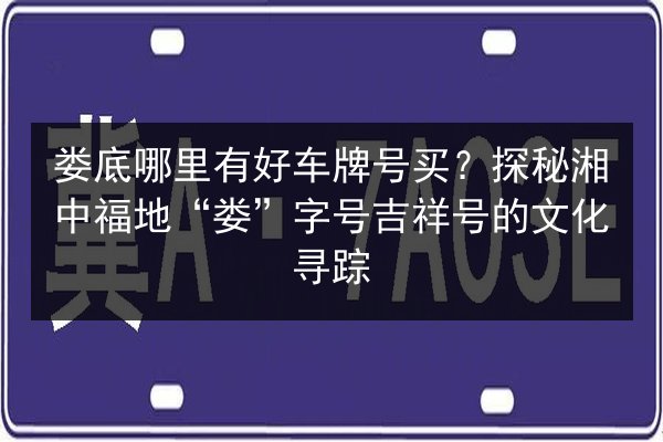 娄底哪里有好车牌号买？探秘湘中福地“娄”字号吉祥号的文化寻踪 第1张