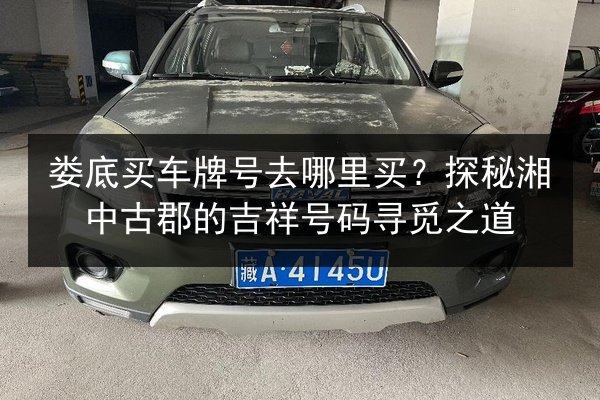 娄底买车牌号去哪里买？探秘湘中古郡的吉祥号码寻觅之道 第2张