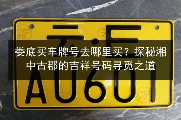 娄底买车牌号去哪里买？探秘湘中古郡的吉祥号码寻觅之道 第3张