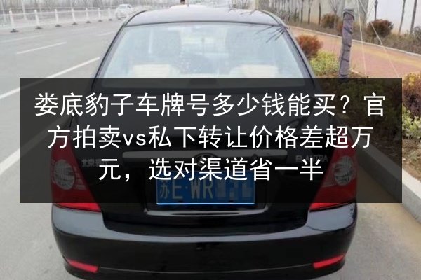娄底豹子车牌号多少钱能买?官方拍卖vs私下转让价格差超万元,选对渠道省一半 第1张 娄底豹子车牌号多少钱能买?官方拍卖vs私下转让价格差超万元,选对渠道省一半 第1张