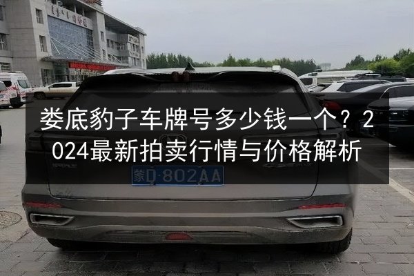娄底豹子车牌号多少钱一个？2024最新拍卖行情与价格解析 第2张