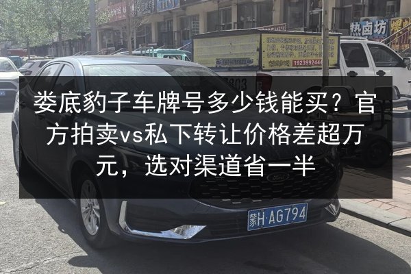 娄底豹子车牌号多少钱能买?官方拍卖vs私下转让价格差超万元,选对渠道省一半 第2张 娄底豹子车牌号多少钱能买?官方拍卖vs私下转让价格差超万元,选对渠道省一半 第2张