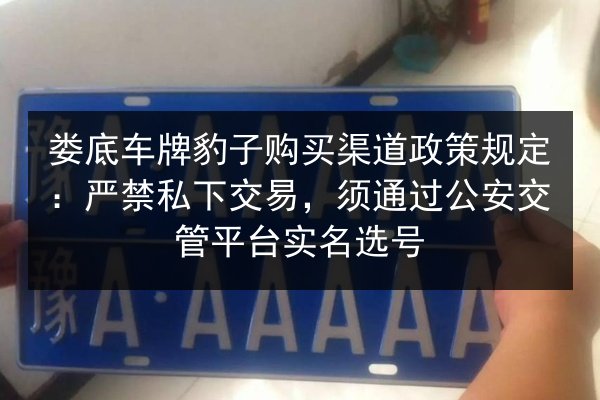 娄底车牌豹子购买渠道政策规定:严禁私下交易,须通过公安交管平台实名选号 第2张 娄底车牌豹子购买渠道政策规定:严禁私下交易,须通过公安交管平台实名选号 第2张