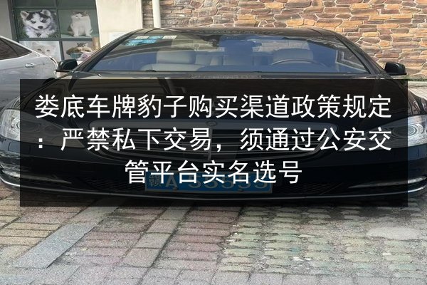 娄底车牌豹子购买渠道政策规定:严禁私下交易,须通过公安交管平台实名选号 第3张 娄底车牌豹子购买渠道政策规定:严禁私下交易,须通过公安交管平台实名选号 第3张