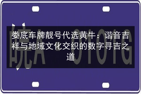 娄底车牌靓号代选黄牛:谐音吉祥与地域文化交织的数字寻吉之道 第2张 娄底车牌靓号代选黄牛:谐音吉祥与地域文化交织的数字寻吉之道 第2张