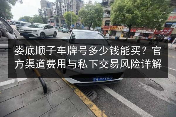 娄底顺子车牌号多少钱能买？官方渠道费用与私下交易风险详解 第3张