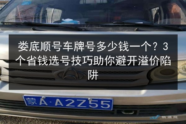 娄底顺号车牌号多少钱一个？3个省钱选号技巧助你避开溢价陷阱 第3张