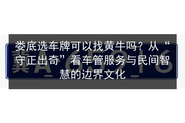 娄底选车牌可以找黄牛吗?从“守正出奇”看车管服务与民间智慧的边界文化 第3张 娄底选车牌可以找黄牛吗?从“守正出奇”看车管服务与民间智慧的边界文化 第3张