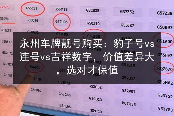 永州车牌靓号购买：豹子号vs连号vs吉祥数字，价值差异大，选对才保值