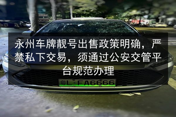 永州车牌靓号出售政策明确，严禁私下交易，须通过公安交管平台规范办理 第3张