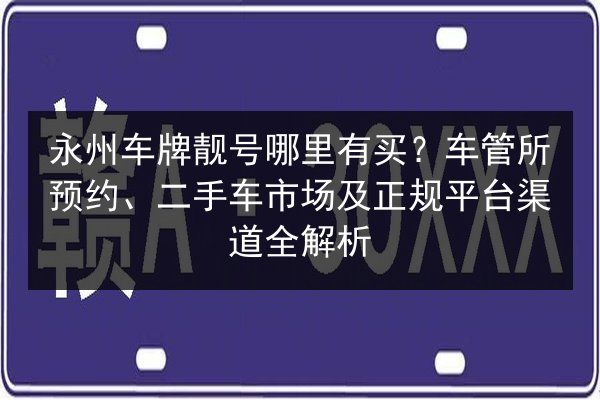 永州车牌靓号哪里有买？车管所预约、二手车市场及正规平台渠道全解析