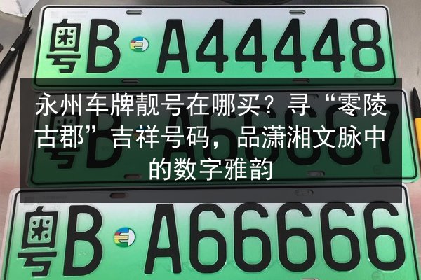 永州车牌靓号在哪买？寻“零陵古郡”吉祥号码，品潇湘文脉中的数字雅韵