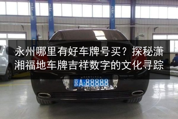 永州哪里有好车牌号买？探秘潇湘福地车牌吉祥数字的文化寻踪 第2张