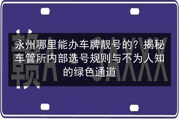 永州哪里能办车牌靓号的?揭秘车管所内部选号规则与不为人知的绿色通道 第3张 永州哪里能办车牌靓号的?揭秘车管所内部选号规则与不为人知的绿色通道 第3张