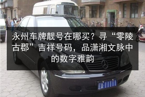 永州车牌靓号在哪买？寻“零陵古郡”吉祥号码，品潇湘文脉中的数字雅韵 第2张