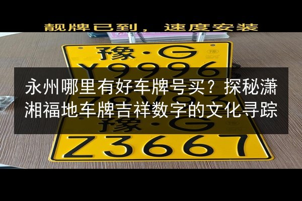 永州哪里有好车牌号买？探秘潇湘福地车牌吉祥数字的文化寻踪 第3张