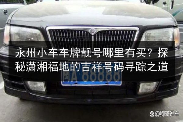 永州小车车牌靓号哪里有买?探秘潇湘福地的吉祥号码寻踪之道 第1张 永州小车车牌靓号哪里有买?探秘潇湘福地的吉祥号码寻踪之道 第1张