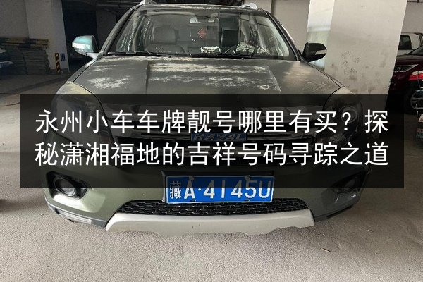 永州小车车牌靓号哪里有买?探秘潇湘福地的吉祥号码寻踪之道 第2张 永州小车车牌靓号哪里有买?探秘潇湘福地的吉祥号码寻踪之道 第2张