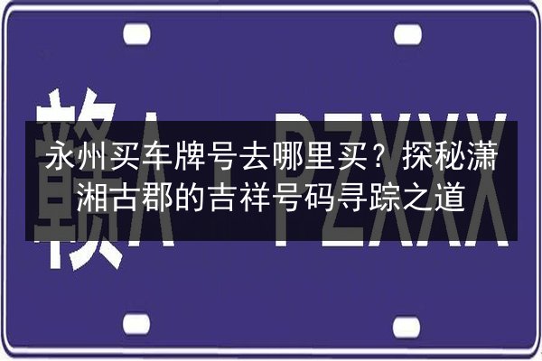 永州买车牌号去哪里买?探秘潇湘古郡的吉祥号码寻踪之道 第3张 永州买车牌号去哪里买?探秘潇湘古郡的吉祥号码寻踪之道 第3张