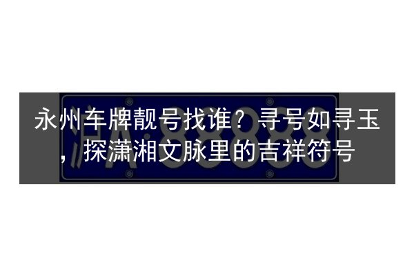 永州车牌靓号找谁？寻号如寻玉，探潇湘文脉里的吉祥符号 第2张