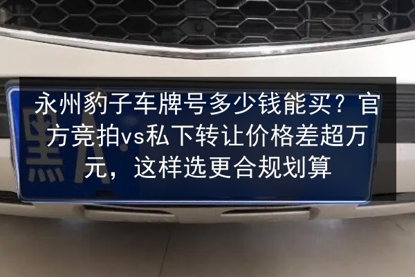 永州豹子车牌号多少钱能买?官方竞拍vs私下转让价格差超万元,这样选更合规划算 第2张 永州豹子车牌号多少钱能买?官方竞拍vs私下转让价格差超万元,这样选更合规划算 第2张