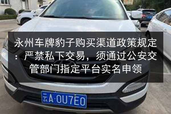 永州车牌豹子购买渠道政策规定:严禁私下交易,须通过公安交管部门指定平台实名申领 第2张 永州车牌豹子购买渠道政策规定:严禁私下交易,须通过公安交管部门指定平台实名申领 第2张