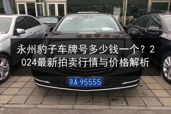 永州豹子车牌号多少钱一个？2024最新拍卖行情与价格解析 第2张