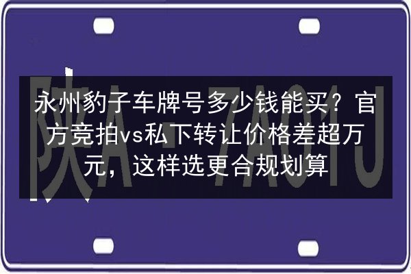 永州豹子车牌号多少钱能买?官方竞拍vs私下转让价格差超万元,这样选更合规划算 第3张 永州豹子车牌号多少钱能买?官方竞拍vs私下转让价格差超万元,这样选更合规划算 第3张