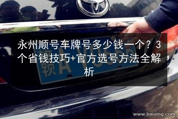 永州顺号车牌号多少钱一个？3个省钱技巧+官方选号方法全解析 第3张