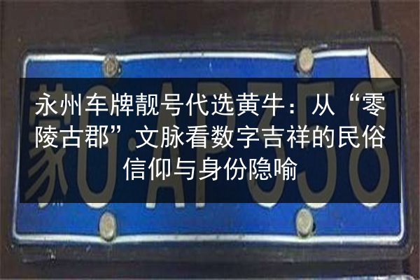 永州车牌靓号代选黄牛：从“零陵古郡”文脉看数字吉祥的民俗信仰与身份隐喻 第2张