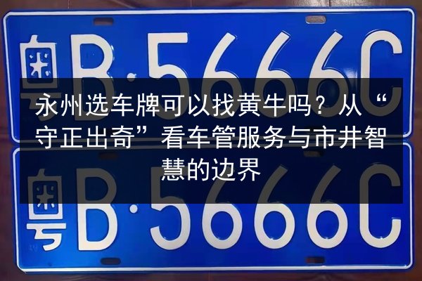永州选车牌可以找黄牛吗？从“守正出奇”看车管服务与市井智慧的边界 第2张