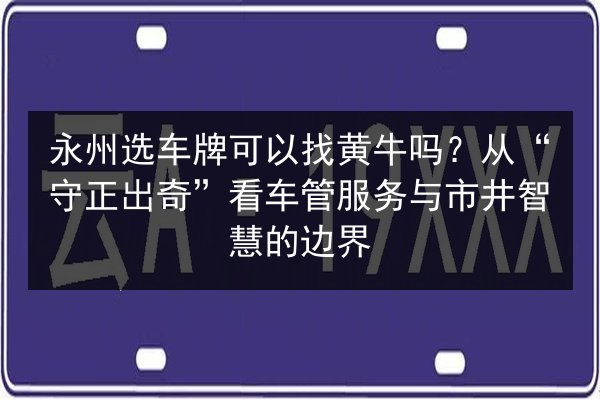 永州选车牌可以找黄牛吗？从“守正出奇”看车管服务与市井智慧的边界 第3张