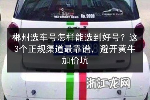 郴州选车号怎样能选到好号?这3个正规渠道最靠谱,避开黄牛加价坑 第2张 郴州选车号怎样能选到好号?这3个正规渠道最靠谱,避开黄牛加价坑 第2张