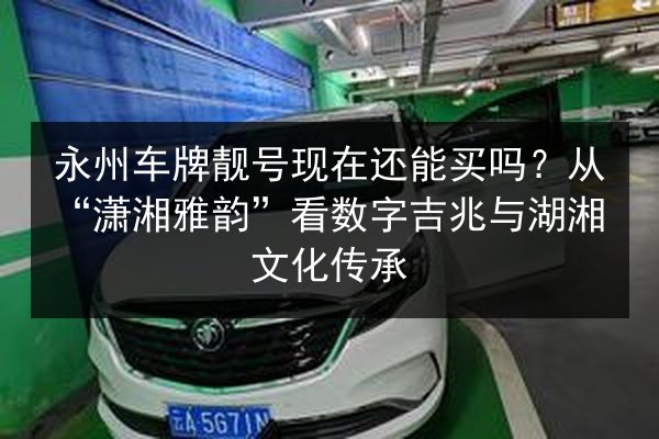 永州车牌靓号现在还能买吗？从“潇湘雅韵”看数字吉兆与湖湘文化传承 第3张