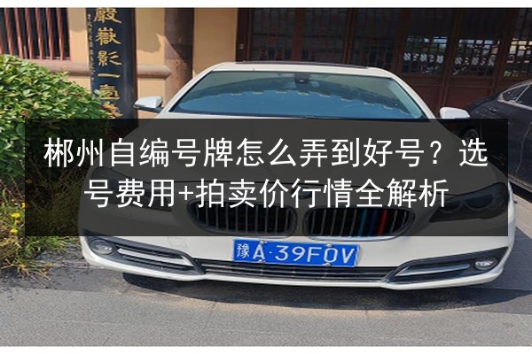 郴州自编号牌怎么弄到好号?选号费用+拍卖价行情全解析 第2张 郴州自编号牌怎么弄到好号?选号费用+拍卖价行情全解析 第2张