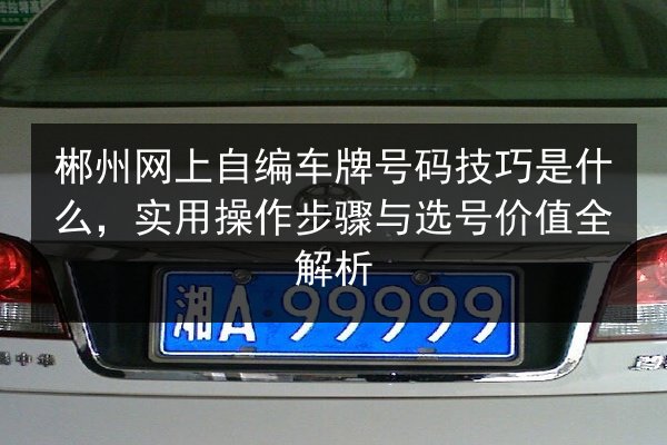 郴州网上自编车牌号码技巧是什么,实用操作步骤与选号价值全解析 第3张 郴州网上自编车牌号码技巧是什么,实用操作步骤与选号价值全解析 第3张