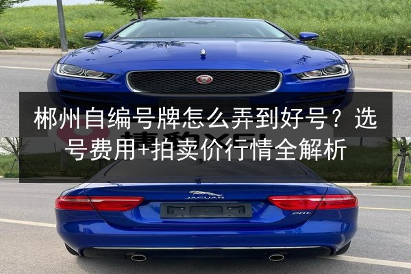 郴州自编号牌怎么弄到好号?选号费用+拍卖价行情全解析 第3张 郴州自编号牌怎么弄到好号?选号费用+拍卖价行情全解析 第3张