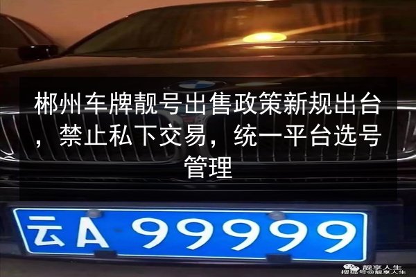 郴州车牌靓号出售政策新规出台,禁止私下交易,统一平台选号管理 第2张 郴州车牌靓号出售政策新规出台,禁止私下交易,统一平台选号管理 第2张